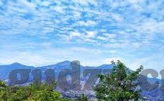 成人啪啪视频-成人内容与网络伦理的边界探讨