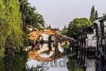 大象传媒视频正片-探索大象传媒视频正片的魅力与价值