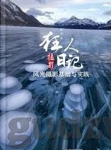 大象气氛传媒-探索大象气氛传媒的独特魅力与影响力