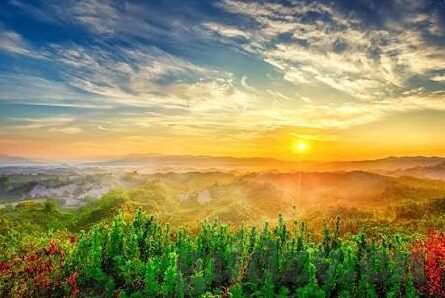 很污的糖心app-意料之外的网络迷雾，审视很污的糖心app现象