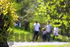 麻豆高清免费视频-构建在线媒体环境的伦理与法律界限—以麻豆高清免费视频为例