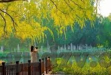麻豆原创精品视频 精彩完整视频-麻豆原创精品视频，邂逅你的影像盛宴