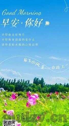 尼各马可伦理学-尼各马可伦理学，探索古代伦理智慧的现代回响