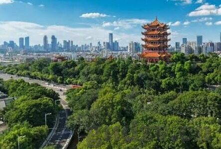 糖心app网站是什么-揭秘糖心APP网站，数字时代的隐秘社交乐园