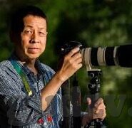中文字幕手机香蕉在线观看-探索移动时代下的文化消费新趋势，中文字幕手机观影体验
